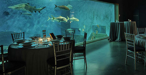 Seville aquarium