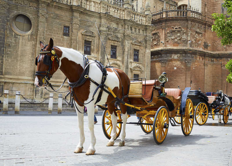 Early Morning Transport from Seville Old Town to Airport: Complete Guide